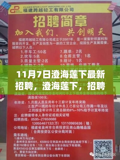 关于我们 第476页