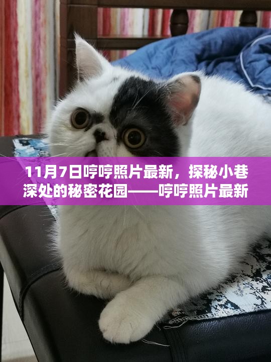 资料下载 第458页