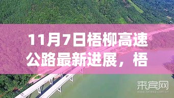 关于我们 第459页