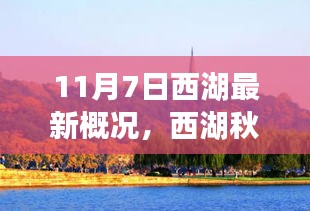 培训课程 第456页