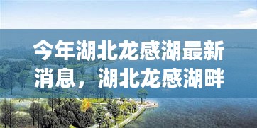 考级报名 第425页