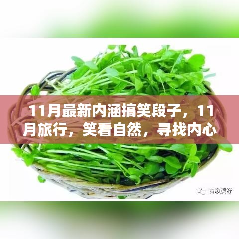 11月旅行笑谈录，内涵搞笑段子与心灵的宁静之旅