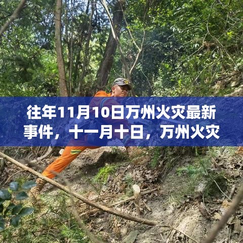 考级报名 第408页