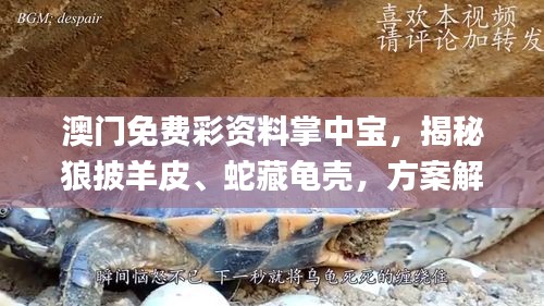 考级报名 第391页