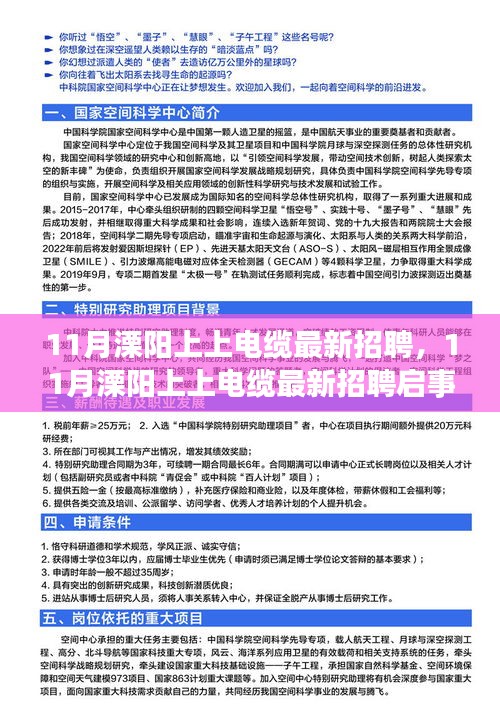 考级报名 第359页