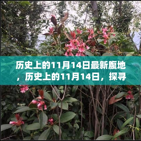 联系我们 第349页
