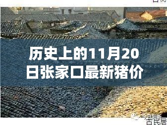 江南烟雨断桥殇 第19页