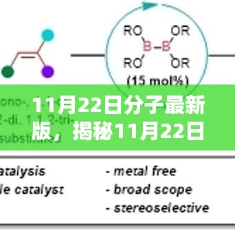 星星打烊 第19页