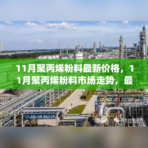 神采奕奕 第17页