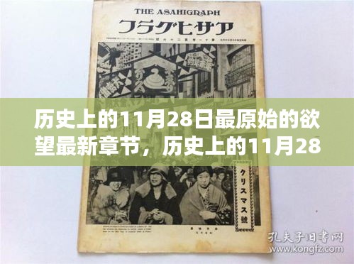张牙舞爪 第15页