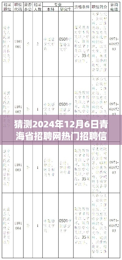 feiyipuhuo 第4页