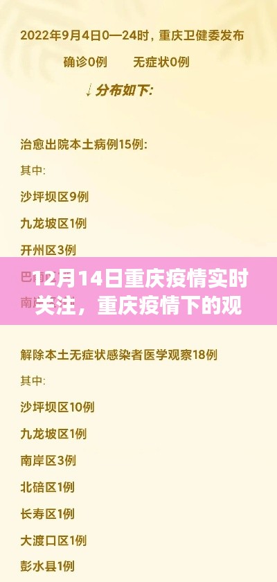 quncizhouzhou 第4页