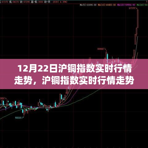 考级报名 第176页