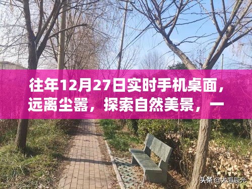 shoudangqichong 第3页