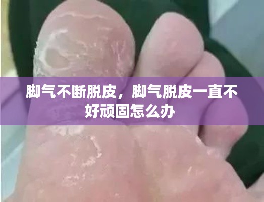 风华绝代 第2页