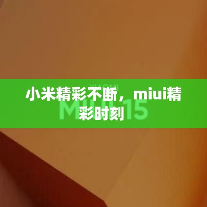 张灯挂彩 第2页