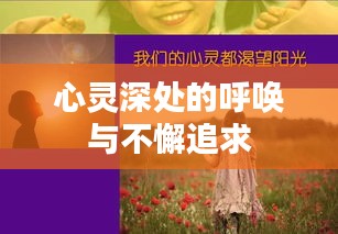 联系我们 第107页