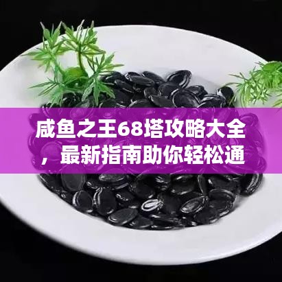 资料下载 第58页