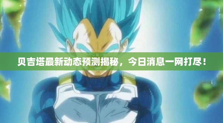 关于我们 第41页