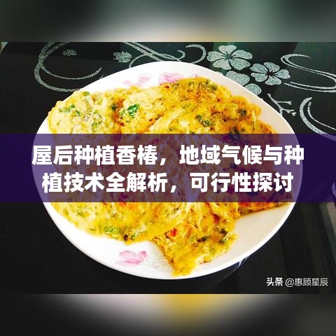 喜出望外