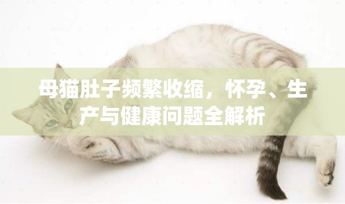 贵卖贱买