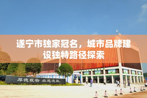 贵极人臣