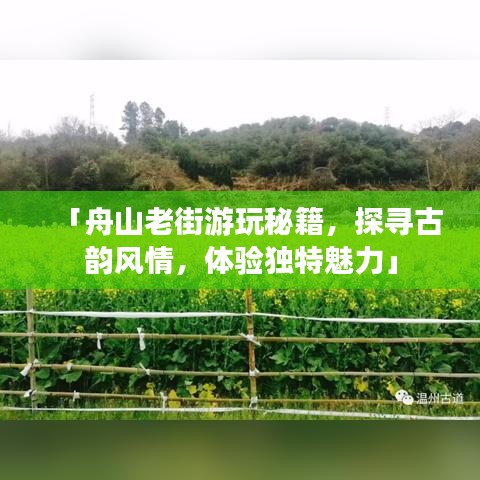 定谋贵决