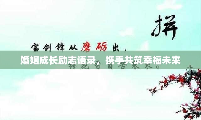 资料下载 第13页