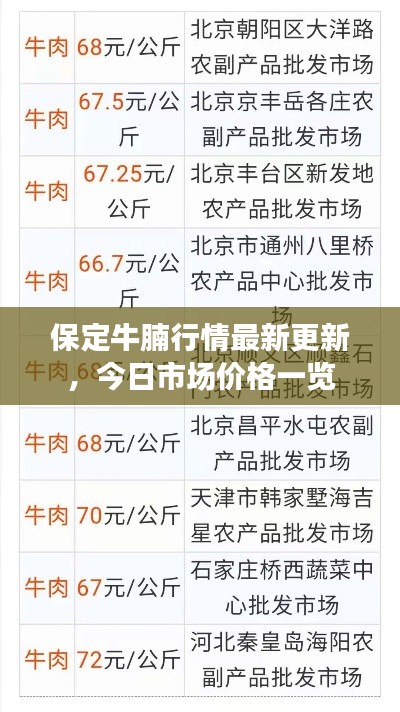 乌鸟私情