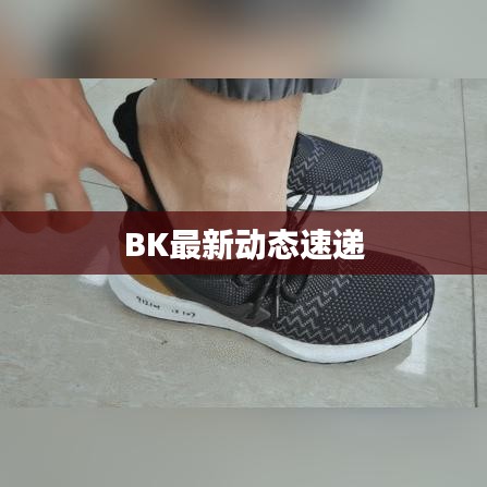 荆钗布裙