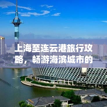 雅人清致