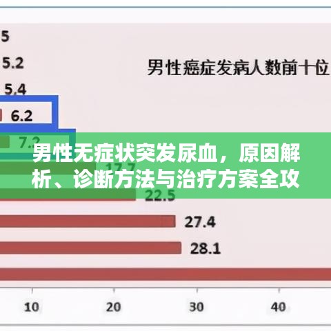 秀外慧中