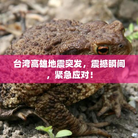 删华就素